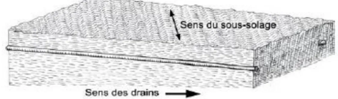 Fig. 4. Sens du  sous-solage perpendiculaire par rapport aux drains souterrains  (Weill, 2015)