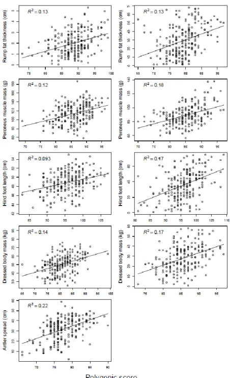 Figure 5. Correlations between the polygenic score and the corresponding phenotypic  trait (rump fat thickness, peroneus muscle mass, hind foot length, dressed body mass,  and antler spread) for male (Left) and female (Right) white-tailed deer from Anticos