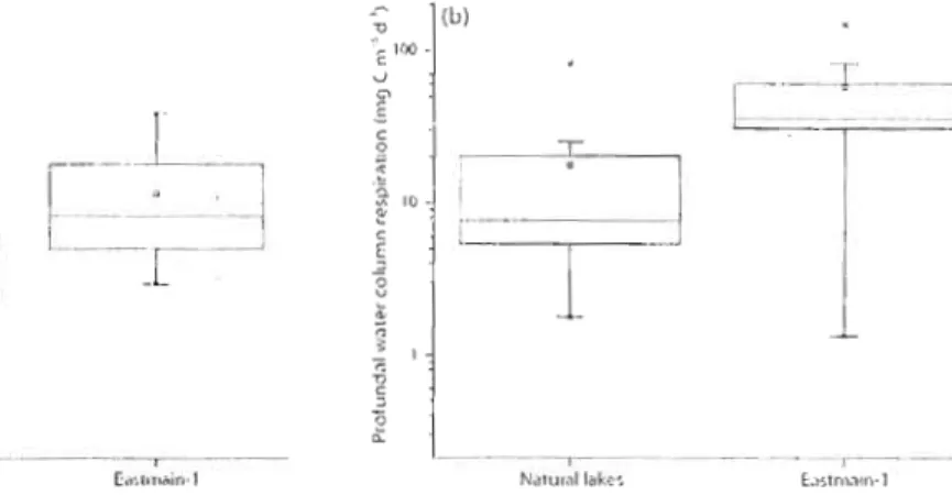 Figure  2.  (a)  Surface (p  =  0.0014,  loglo  transformations)  and  (b)  profundal (p  =  0.0036,  loglo  transformations)  water column respiration  rates  in  naturallakes and  Eastmain-1