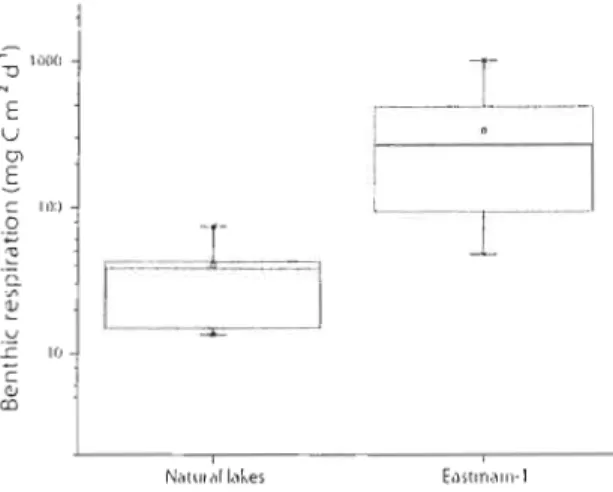 Figure 3.  Estimated  benthic respiration rates  in  natura]  lakes  and  Eastmain-l  (p  (  0.0001, 10glü transformations)