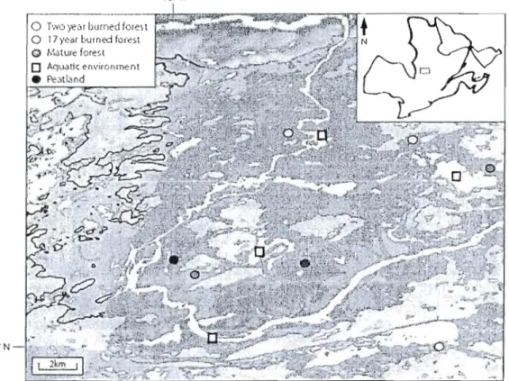 Figure  1.  Map of the  western portion of the  Eastmain-l  Reservoir,  showing flooded  landscapes and  the  location of sampled sites (black circles,  each representing two  stations)