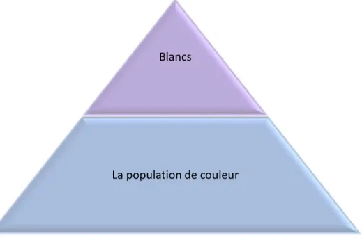 Figure 3 : La pyramide de la classe selon la race (Amott &amp; Matthaei, 1991)(traduction libre)