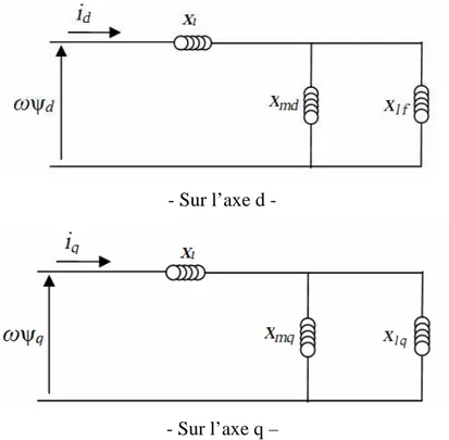 Figure 2.4. Représentation magnétique de la machine synchrone  A partir de ces deux schémas nous pouvons définir les paramètres suivants : 