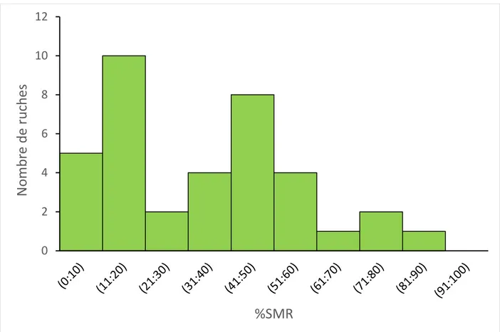 Figure 5. Distribution du trait SMR (en %) des 37 colonies après l’évaluation phénotypique