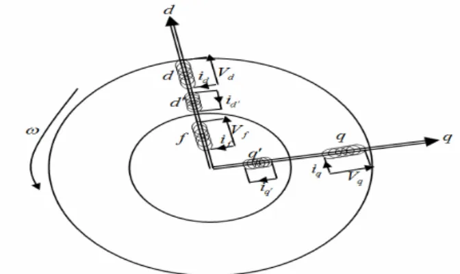 Figure I.4.  Modèle de la machine synchrone dans le repère de Park