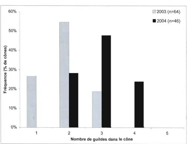 Figure  2.3.  Distribution  de  fréquences  du  nombre  de  guildes  cohabitant  à  l'intérieur  d'un  même  cône,  pour  les  cônes  récoltés  aux  mois  d'août  2003  et  2004  dans  une  sapinière  située  au  nord du  Lac-St-Jean&#34; 