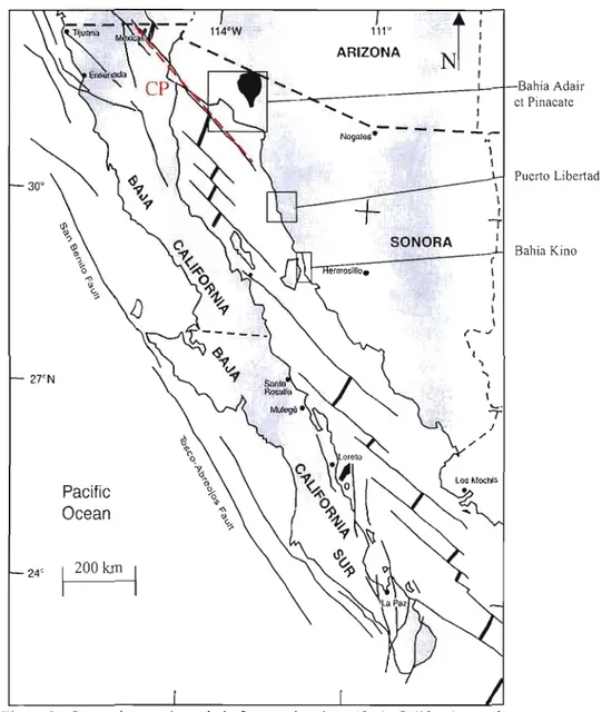 Figure 2.  Carte géotectonique de  la  fracturation  du  golfe de  Californie,  nord­