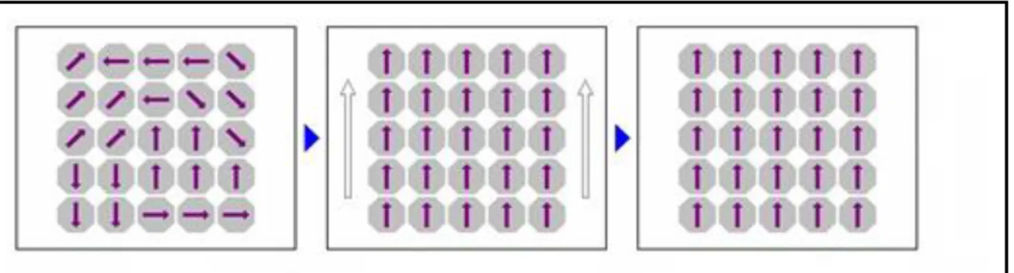 Figure I.4 : schéma explicatif du ferromagnétisme. 