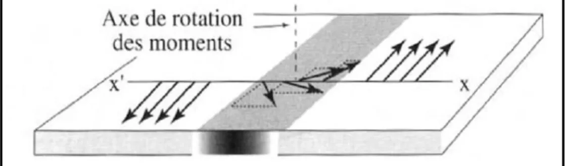 Figure I.8 : Paroi de Néel. 