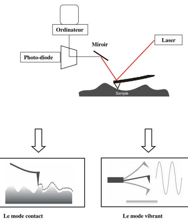 Figure II.9 : Principe de fonctionnement d’un microscope à force atomique. 