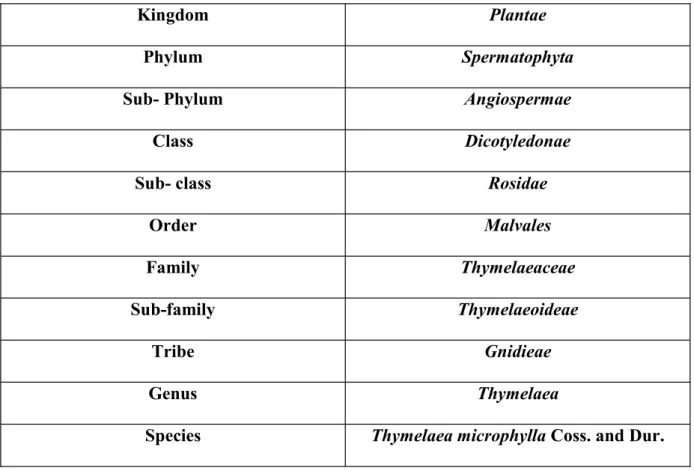 Table 1: Classification of T. microphylla Coss and Dur. (Quezel and Santa, 1962, 1963)