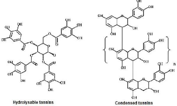 Fig. 3: Tannins chemical structure (Krause et al., 2005). 