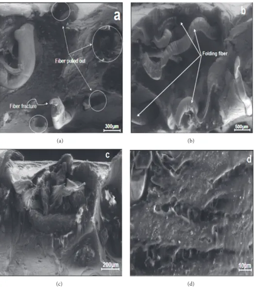 Figure 11: SEM micrographs of the tensile fractured surface of (a) 5 wt% PAfs/PP composite, (b) 5 wt% t-PAfs/PP composite, (c) 5 wt%