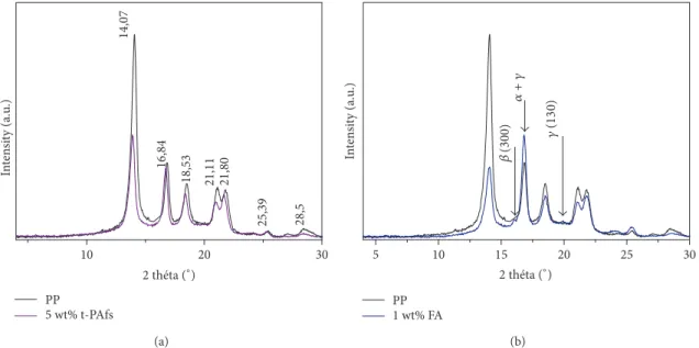 Figure 4: WAXS patterns of (a) 5 wt% t-PAfs/PP composite and (b) 1 wt% FA/PP crosslinked PP.