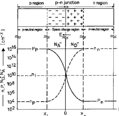 Figure I-2: Doping and concentration distribution of a symmetrical p-n junction in thermal  equilibrium
