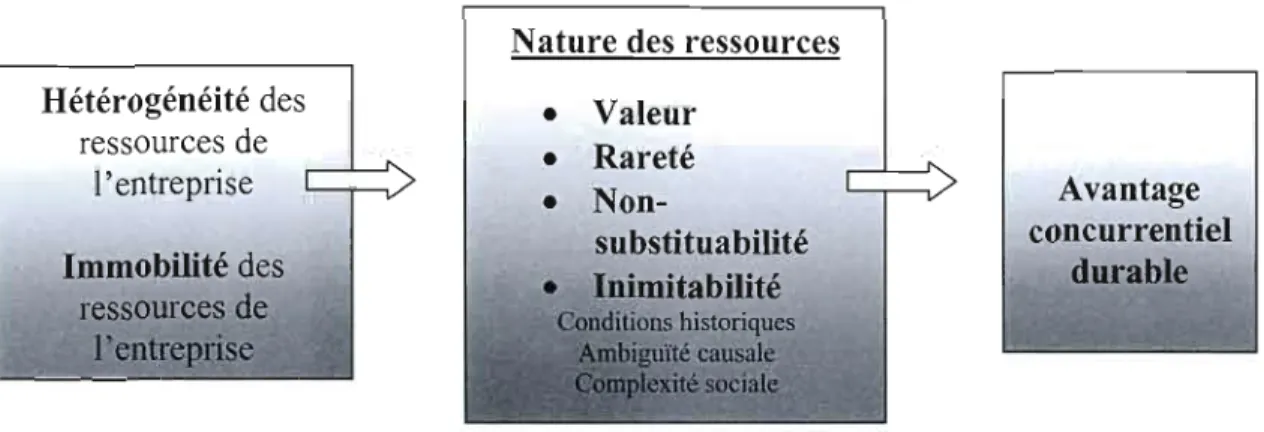 Figure  1.1  Modèle de  la  théorie des  ressources (Barney,  1991) 