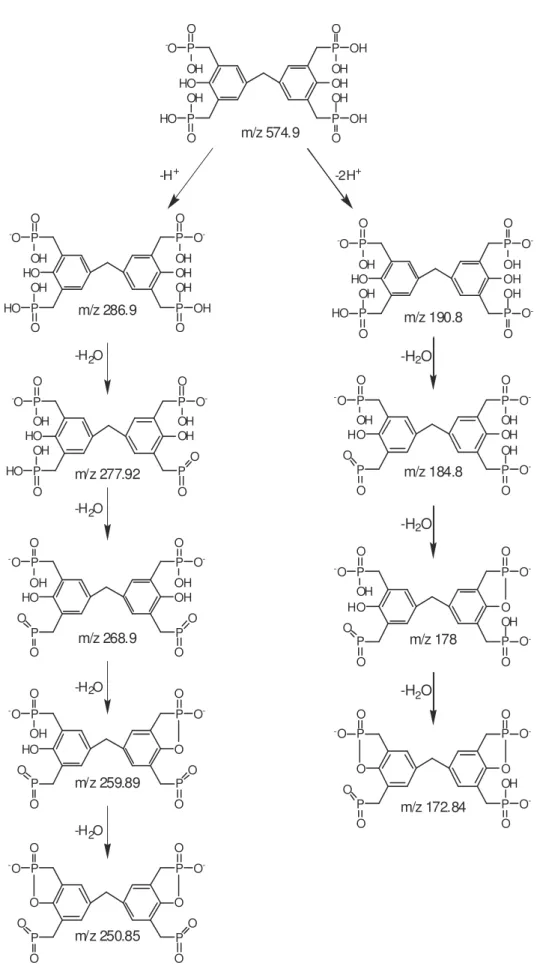 Figure 19. Mécanisme de fragmentation du composé 7 