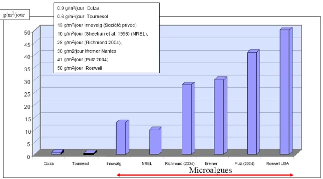 Figure I-1 : Rendement de différents végétaux en g/m²/jour 