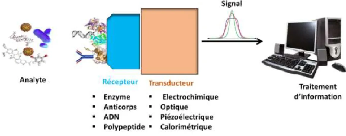 Figure 2.2. Différentes composantes des capteurs. 