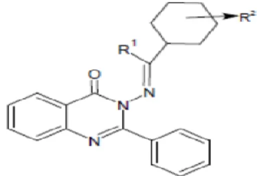 Figure 20: Structure de base de Schiff ayant une activité antivirale  (Munawar et al., 2018)