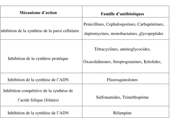 Tableau I.3. Principales familles d’antibiotiques en fonction de leur mécanisme d’action