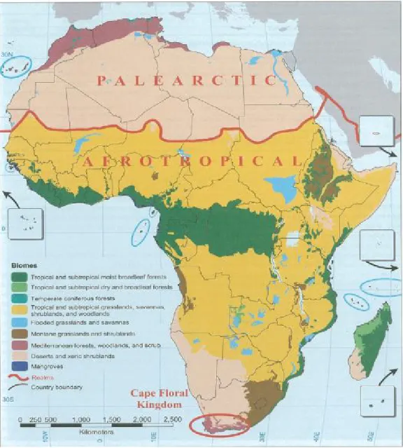 Figure 2.4  Carte des biomes africains.  