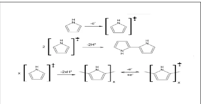 Figure I.14 : Formation et polymérisation du cation de radical de pyrrole [48] 