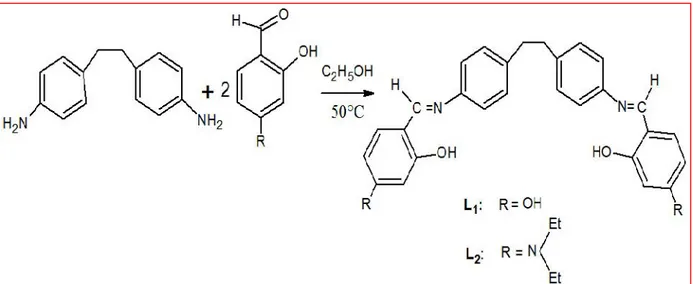 Figure III.1: Procédure générale de la synthèse des ligands bases de Schiff L1 et L2.