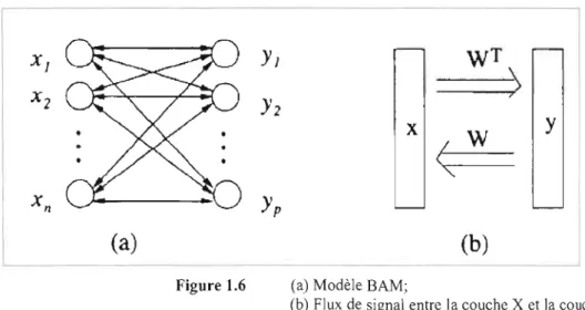 Figure 1.6  (a)  Modèle BAM; 