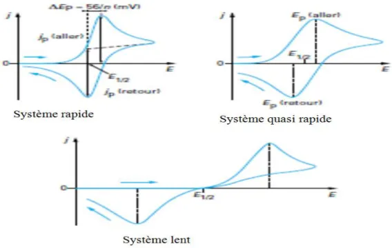 Figure III.2: Différentes allures des voltampérogrammes cycliques selon la rapidité du  système