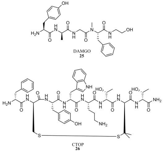 Figure 9. Structure des deux outils utilisés pour l’étude du récepteur µ. 