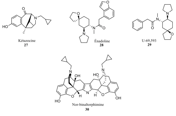 Figure 10. Structure du ligand prototypique et des outils pharmacologiques principaux utilisés pour  l’étude du récepteur κ