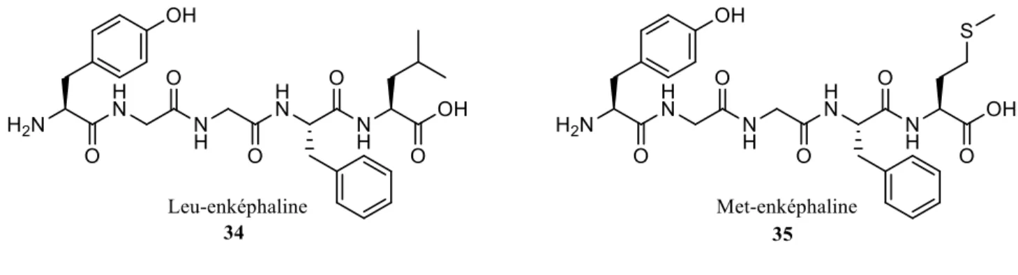 Figure 12. Structure des enképhalines. 