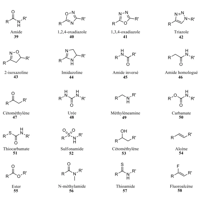 Figure 14. Exemples de bioisostères d’amides. 