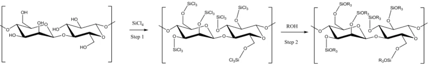 Figure  4.1  shows  the  two  reactive  steps  envisioned  in  this  study  to  functionalize  the  cellulose surface