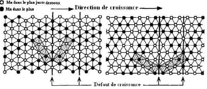 Figure 1.16 : Représentation schématique du micromaclage de la maille de ramsdellite selon la  projection (021) et (061) des atomes de Mn seuls dans le plan (b, c)