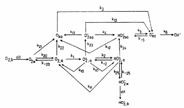Figure 1.19 : Schéma général de la réduction de l’oxygène en milieu alcalin [129],  a : adsorbé à la surface de l’électrode 