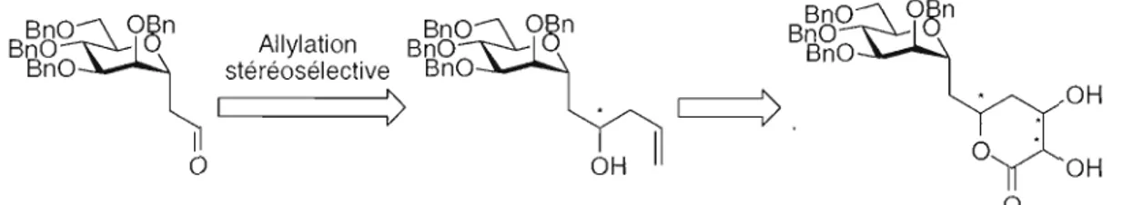 Figure 2.1  : Stratégie de synthèse pour la  préparation de 4-désoxy-C-disaccharides. 