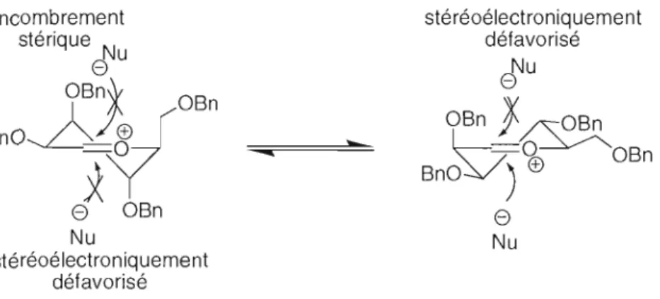 Figure 2.3  : Conformères possibles pour la  réaction  de Sakurai. 