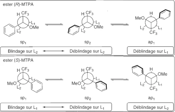 Figure 2.8  :  Effet de blindage et de déblindage  pour les  trois conformères  le plus  représentatifs des dérivés esters des  acides a-méthoxy-a-trifluorométhyl-a-phénylacétiques