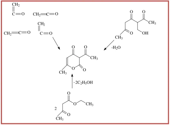 Figure I.2: Schéma représentant les différentes voies de la synthèse de DHA. 