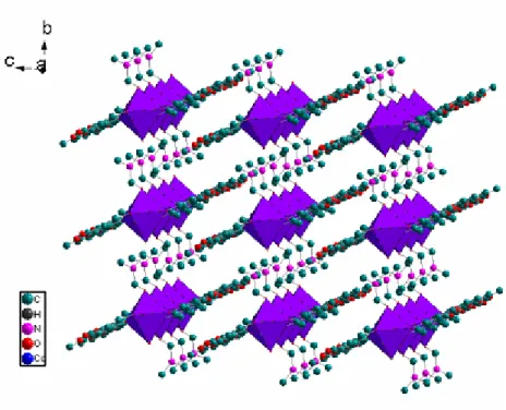 Figure II-14 : Enchaînement des octaèdres CoO 6 dans la structure de [Co(DHA) 2 ].2DMF.