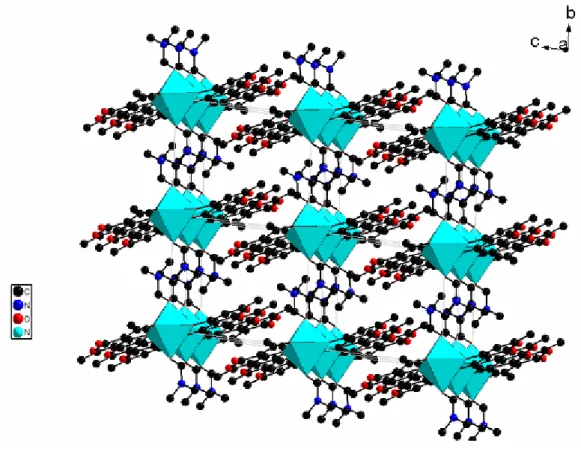 Figure II-17 : Enchaînement des octaèdres NiO 6 dans la structure de [Ni(DHA) 2 ].2DMF.