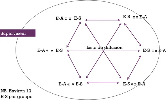 Figure 4. Organisation du stage de 4è année à l'Université de Montréal. 