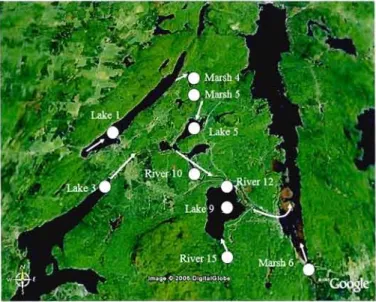 Figure  1.1  Aereal  photograph  of the  study  watershed.  Sampling  sites  are  indicated  with  white solid circies, arrows  indicate the  water flow  from  headwaters  downstreams