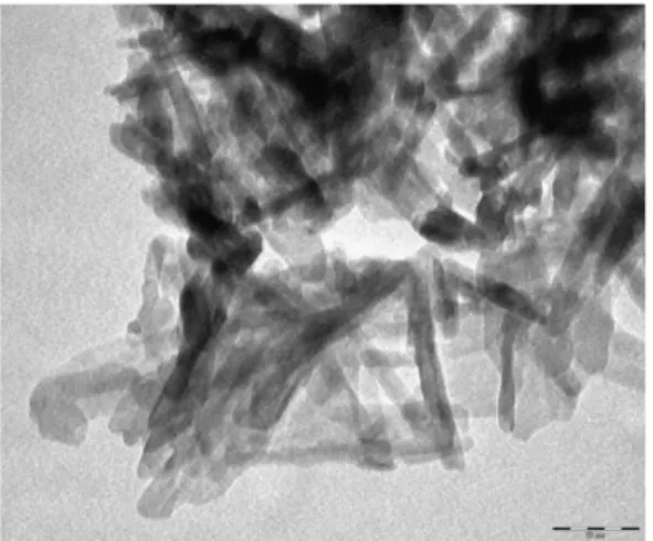 Fig. 5: Thermogrammes d’ATD/TG de la  poudre brute. 