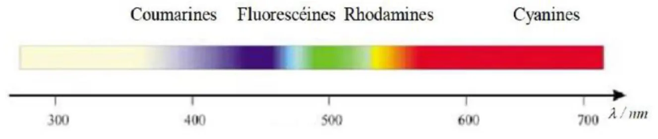 Figure 9. Principales familles de fluorophores organiques et leurs longueurs d’onde associées 