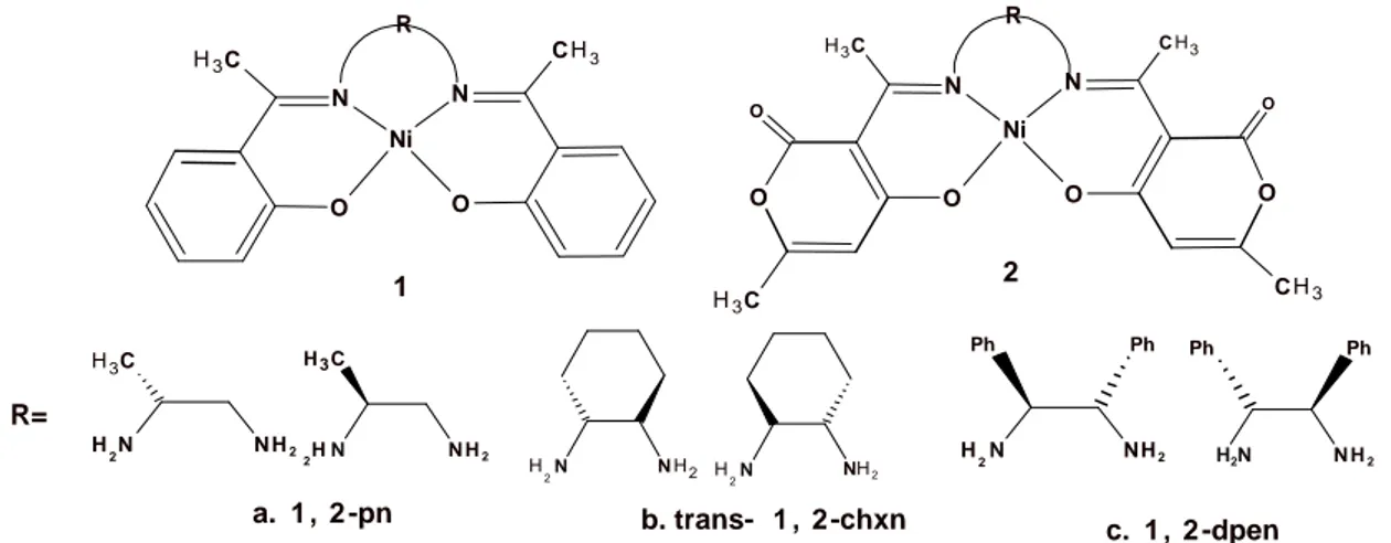 Figure I.5: Structur de HACP-RR-chxn et leurs complexes Ni(II). 