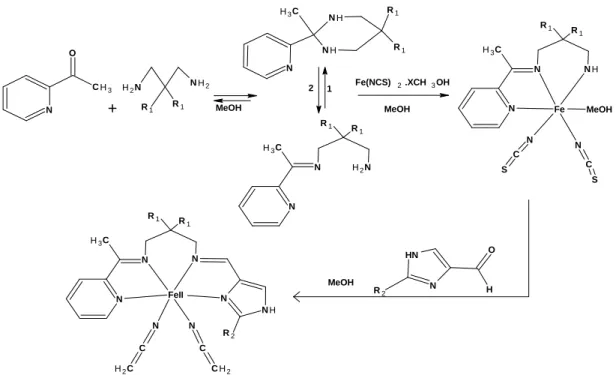 Figure I.11: complexes base de Schiff de VO(IV), Ni(II), Cu(II) non  symétrique selon A