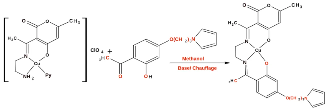 Figure I.16: Complexes base de Schiff de Cu non symétrique pentadentate. 